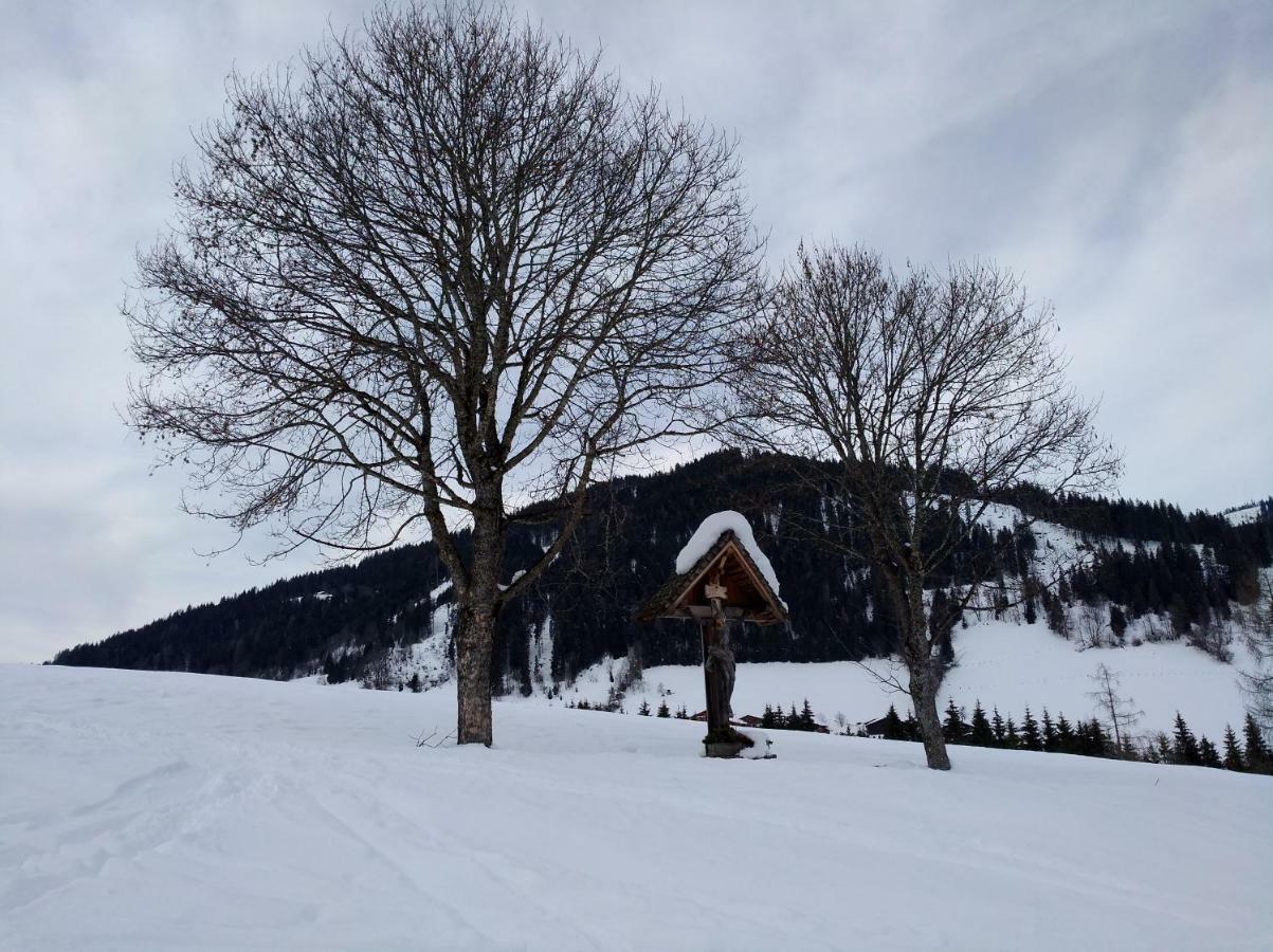 Appartements Haus Bergland 圣马丁安提奈各布里奇 外观 照片